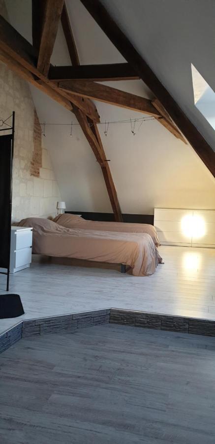 Bourgueil - Grand Appartement Proche Cnpe Chinon Buitenkant foto