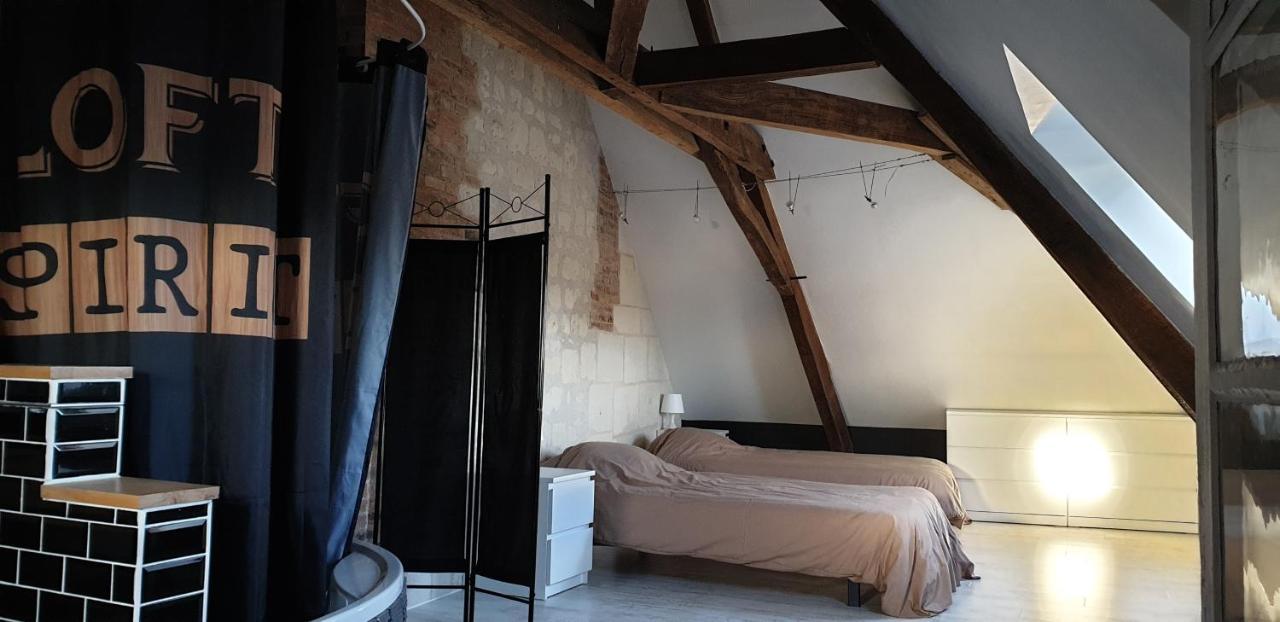 Bourgueil - Grand Appartement Proche Cnpe Chinon Buitenkant foto